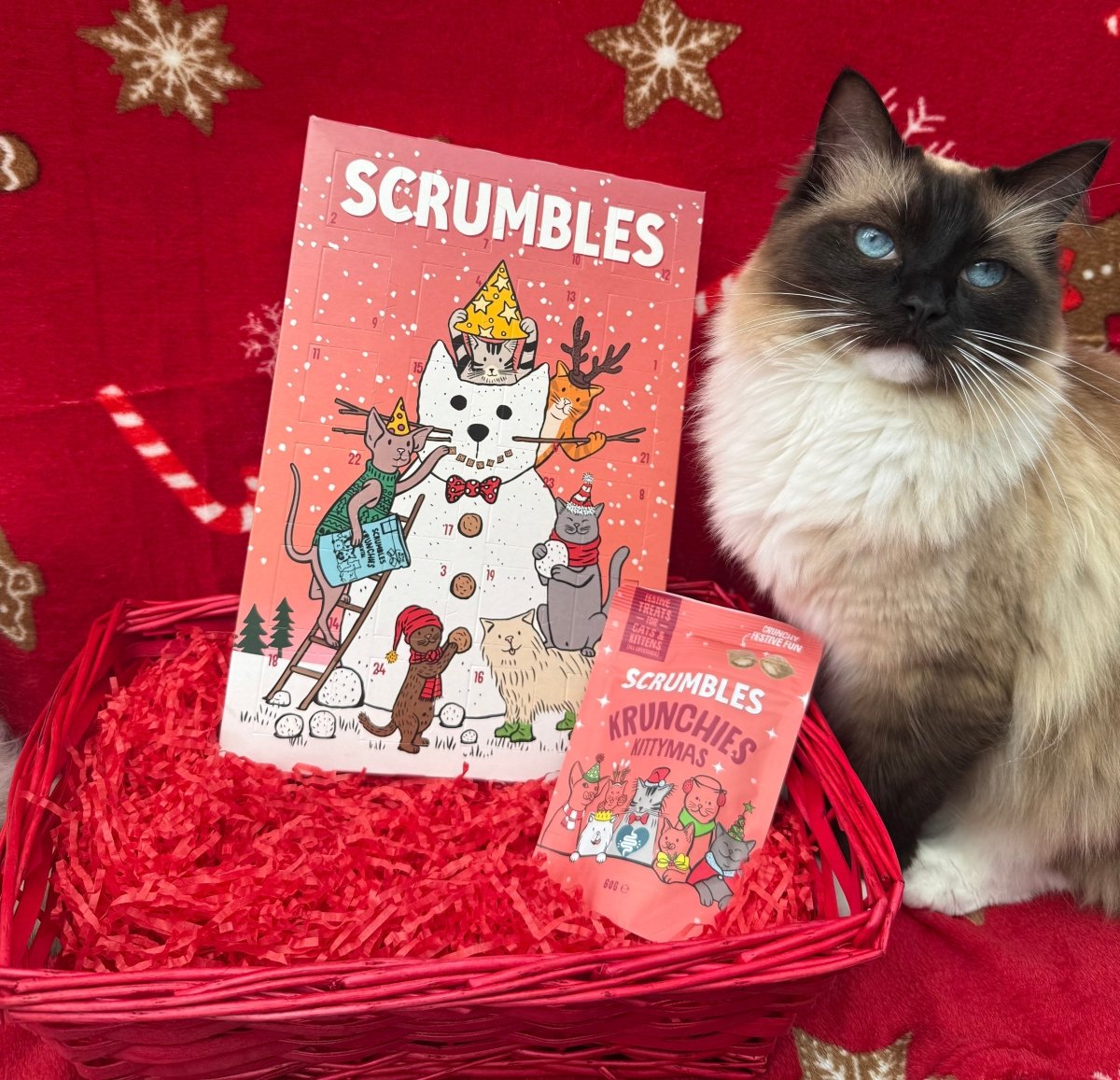 Best Christmas Presents for Cats 2025 - Gift Guide