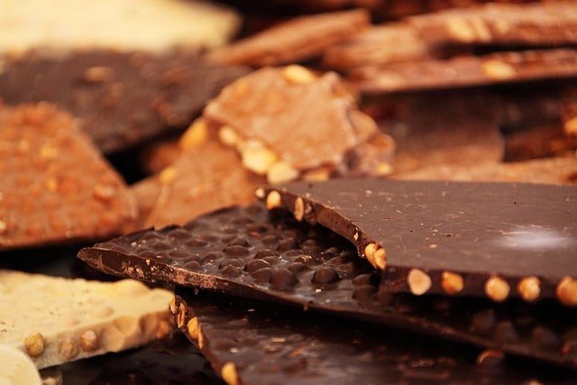 Can dogs eat chocolate?