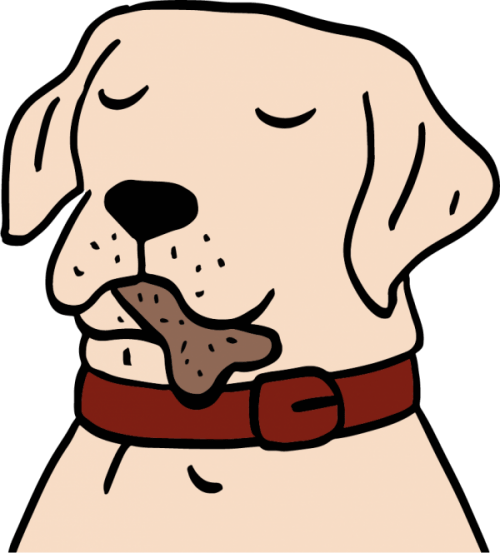Dog Teeth: Your ultimutt guide