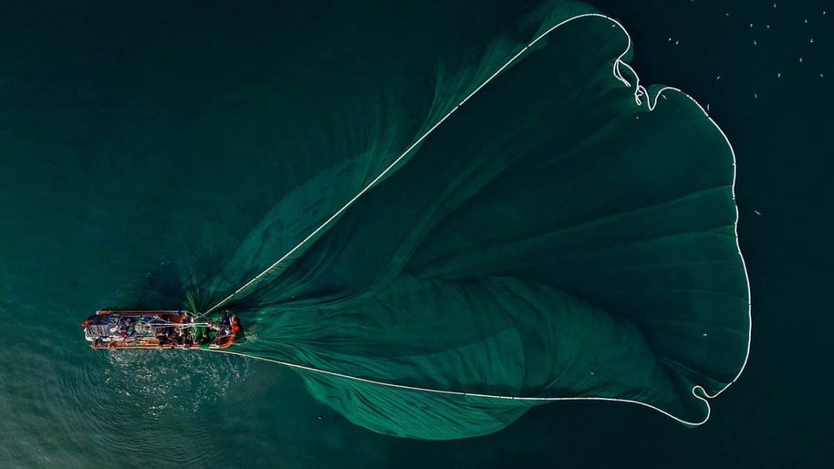 sustainable seafood