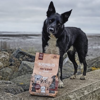 hypoallergenic dog food