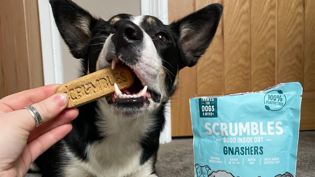 These Dog Dental Treats Are Flying Off The Shelves - Here's Why..