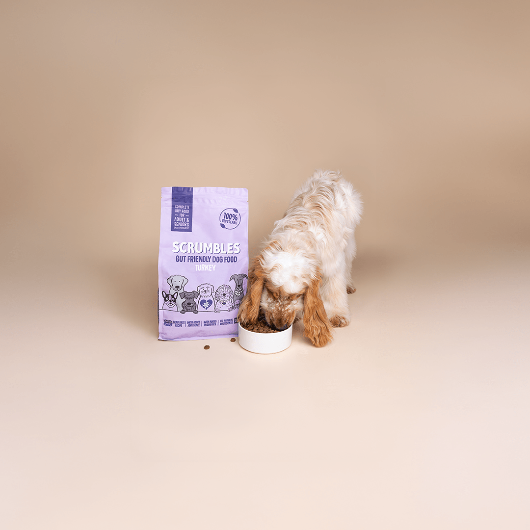 Sensitive Dog Food - Scrumbles: Natural Pet Food