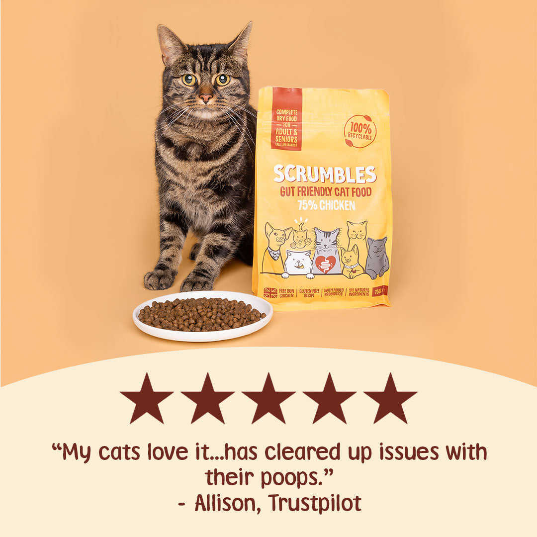 Cat next to a bag of Scrumbles cat food with a five-star rating and customer review on an orange background