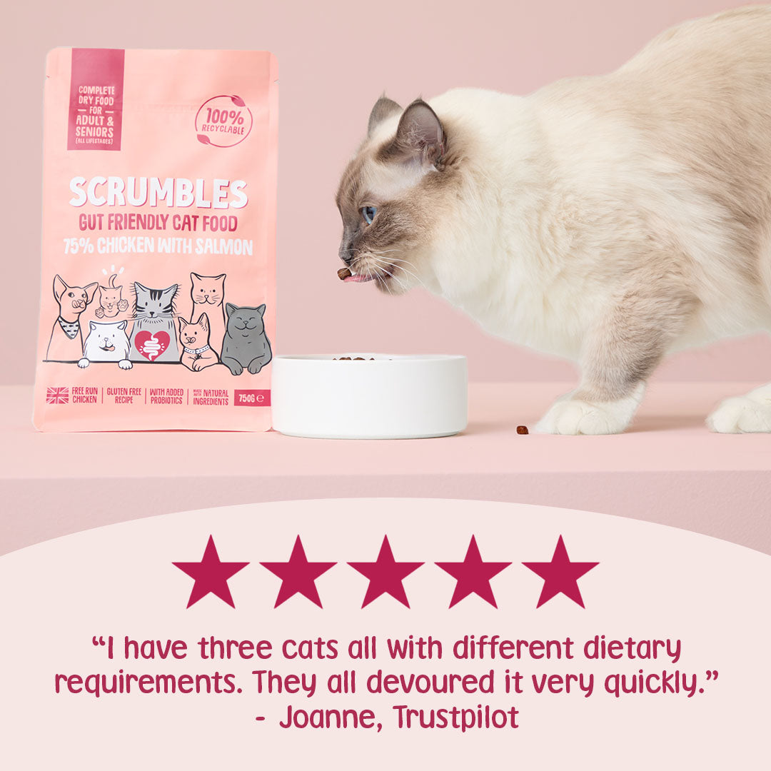 Cat eating from a bowl next to a bag of Scrumbles cat food on a pink background