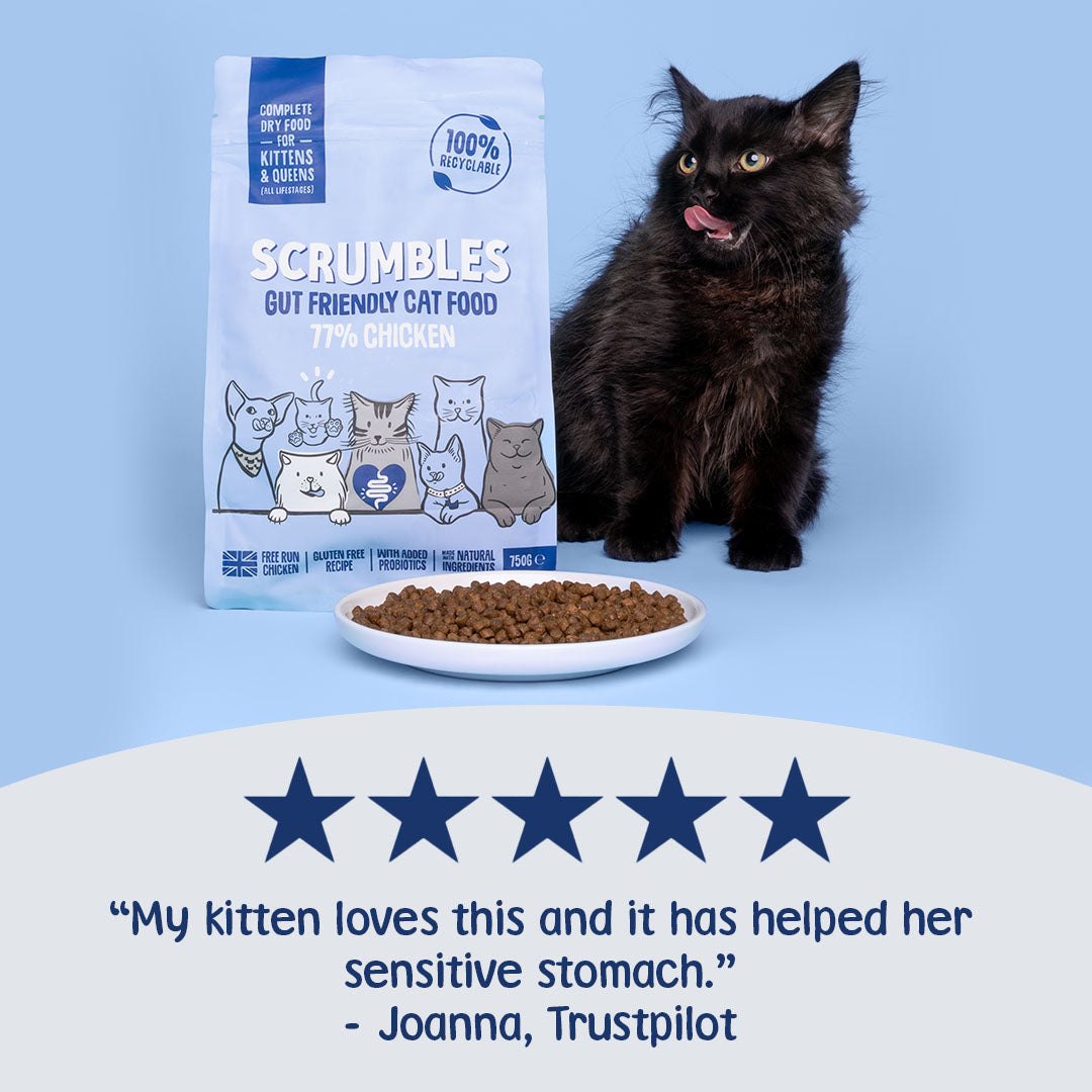 Black kitten next to a bag of Scrumbles cat food with a blue background