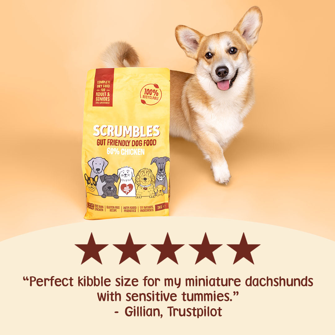 Dog with a bag of Scrumbles dog food on a beige background