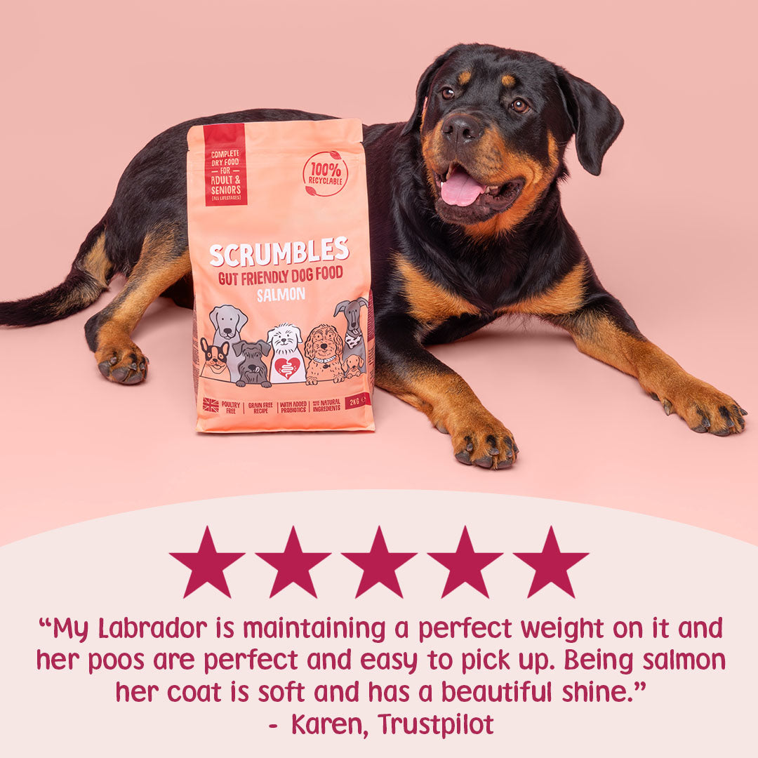 five star review for salmon dry dog food