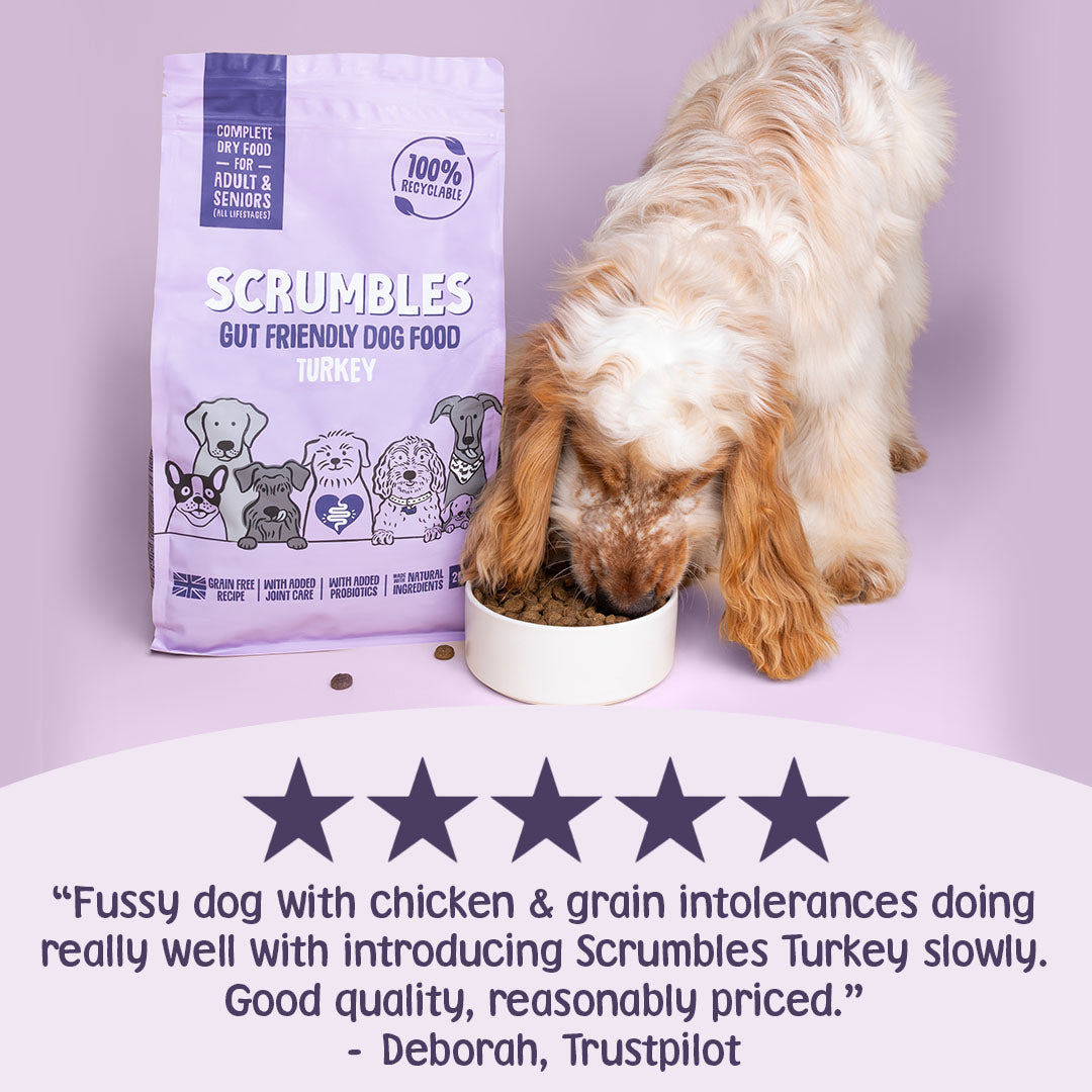 Dog eating from a bowl next to a bag of Scrumbles dog food with a five-star rating and customer review.