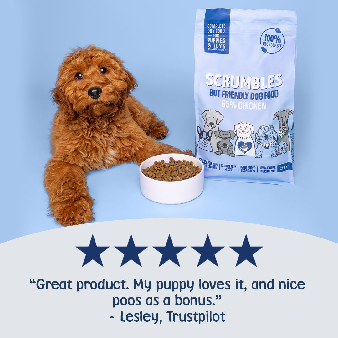 Dog with a bowl of Scrumbles dog food and a five-star review on a blue background