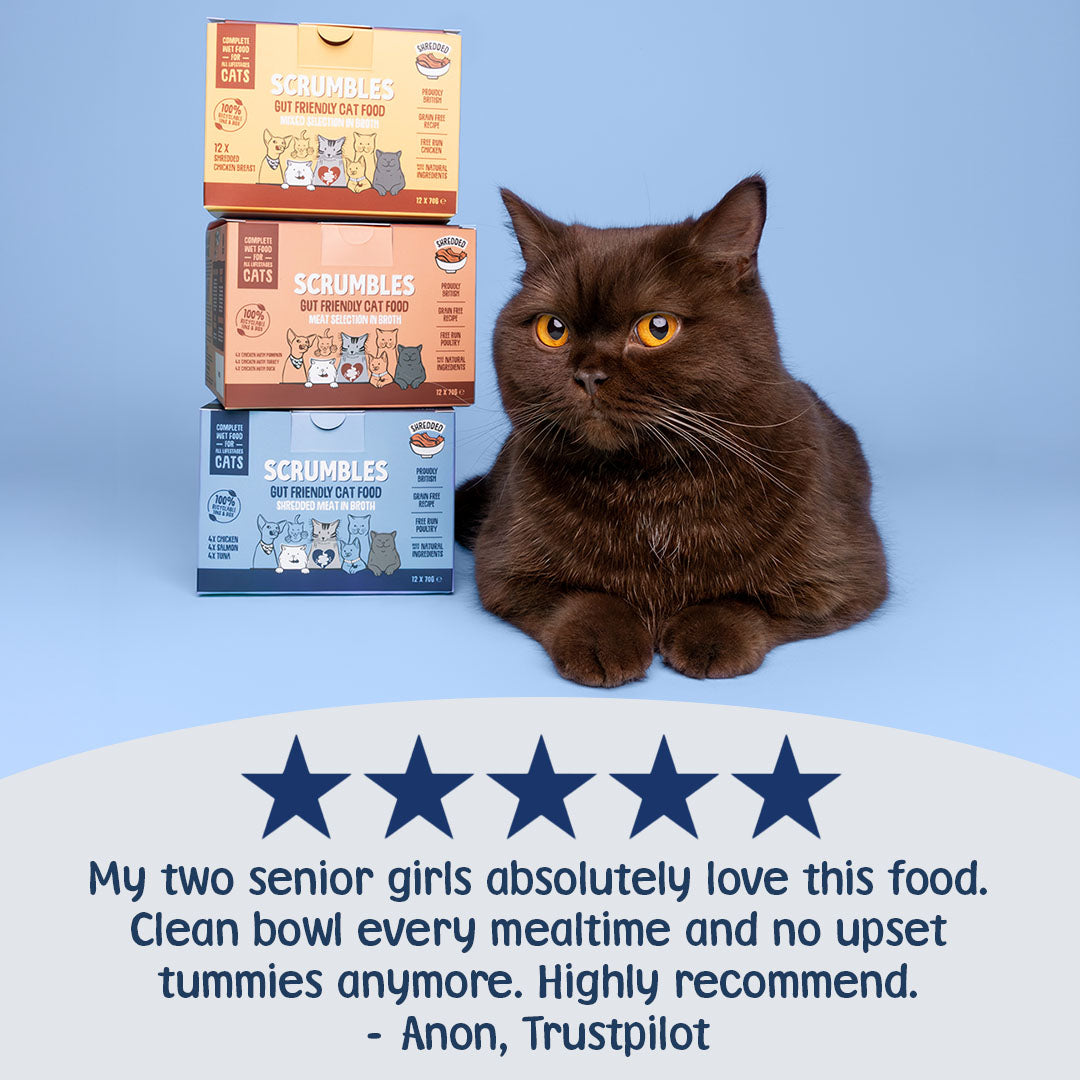 Cat sitting next to stacked boxes of Scrumble cat food with a five-star rating and Trustpilot review on a blue background.