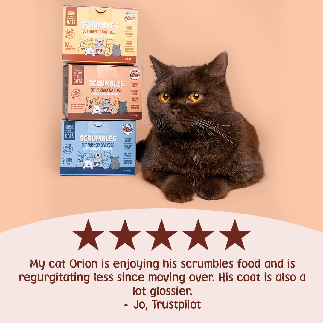 Cat sitting next to Scrumbles cat food boxes with a five-star rating and customer review on a peach background.
