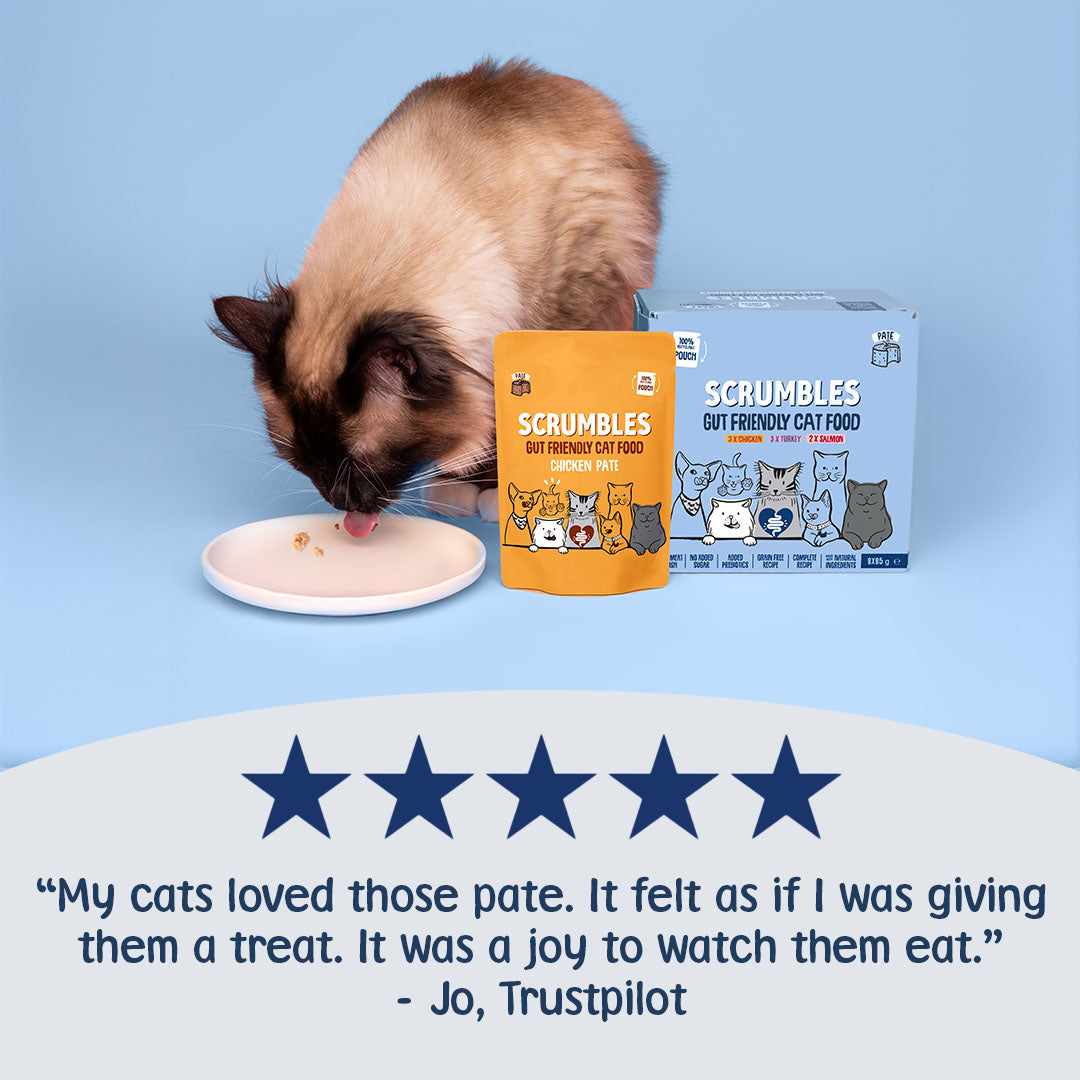Cat eating from a plate with Scrumbles cat food packaging on a blue background
