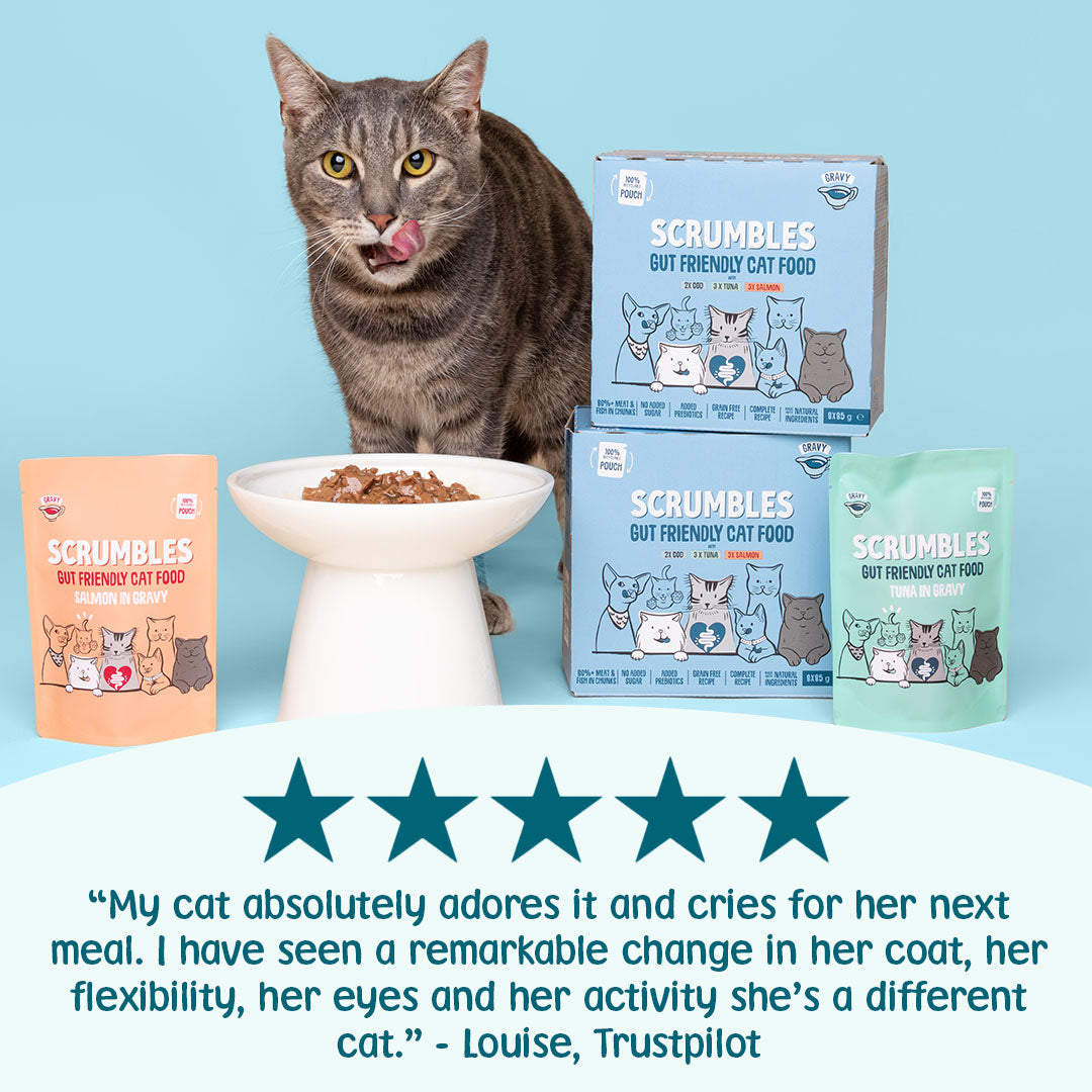 Grain Free Fish in Gravy Cat Food Pouches