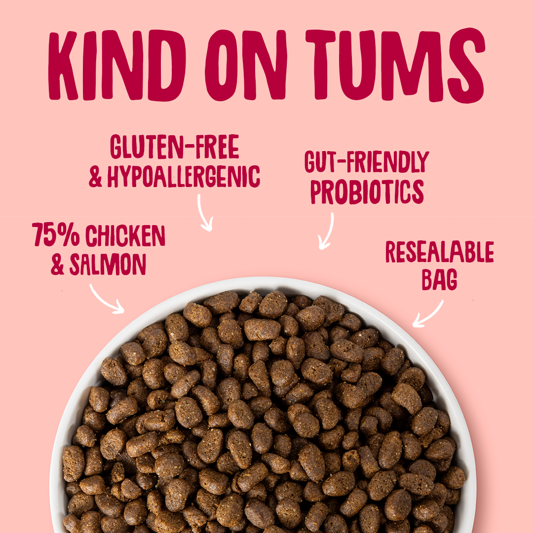 Dog food in a bowl with text highlighting features on a pink background