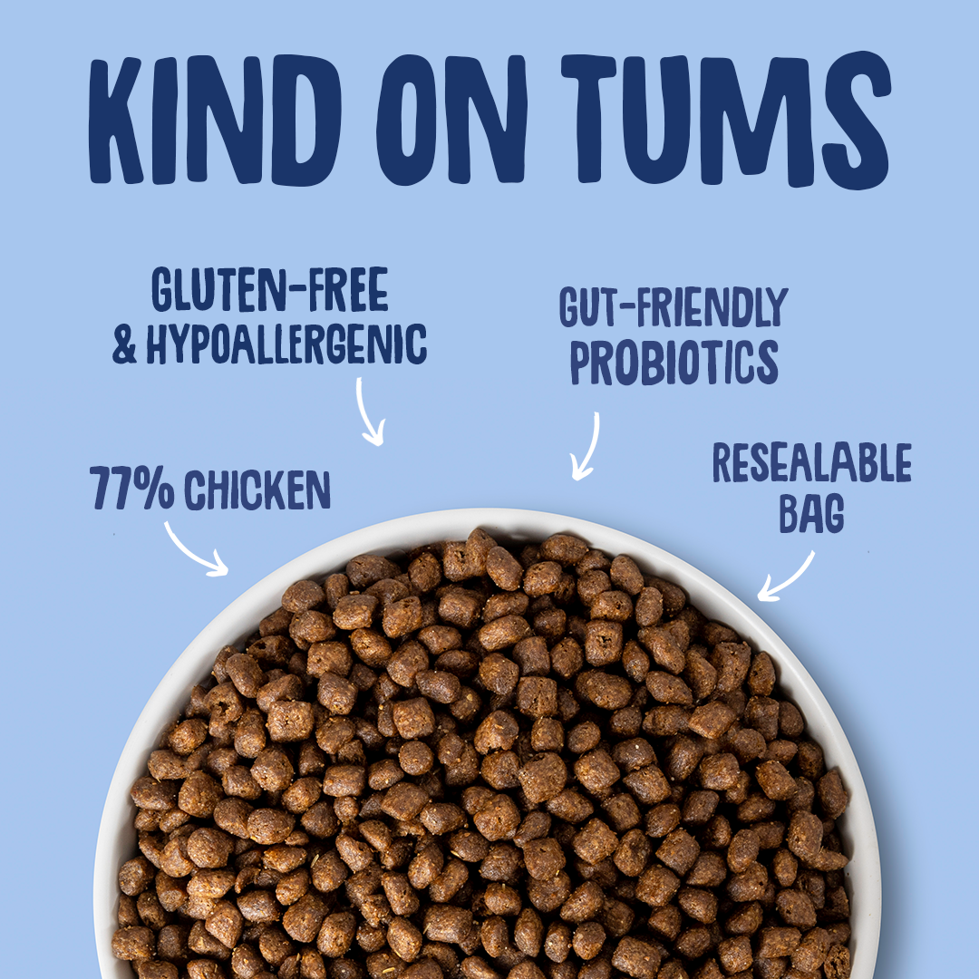 Dog food in a bowl with text highlighting features on a blue background