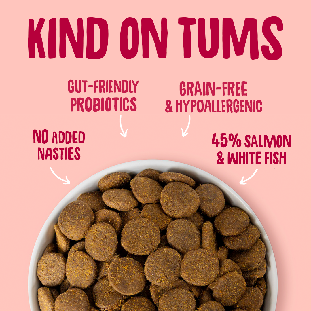 Salmon Dry Dog Food