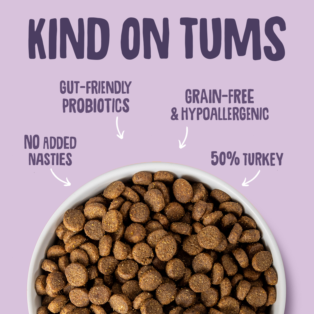 Dog food in a bowl with text highlighting features on a purple background