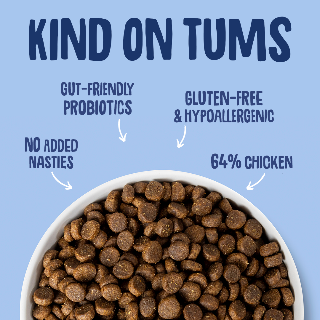Dog food bowl with text highlighting features on a blue background