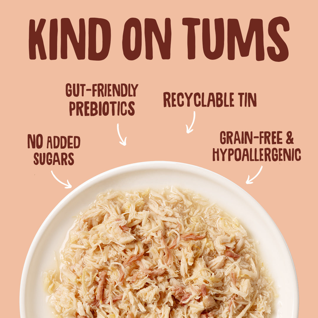 Product packaging with text highlighting features like gut-friendly prebiotics, recyclable tin, no added sugars, grain-free, and hypoallergenic on a pink background.