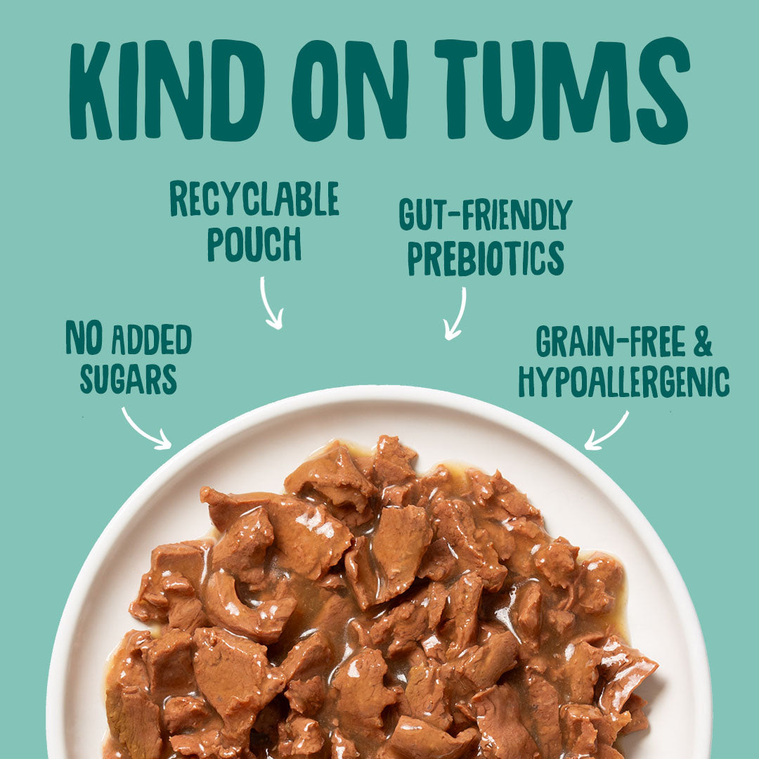 Dog food on a plate with text highlighting features like recyclable pouch, gut-friendly prebiotics, no added sugars, and grain-free & hypoallergenic.