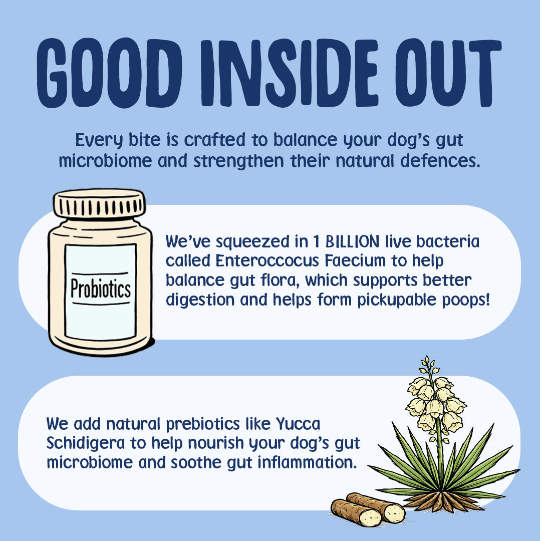 Dog probiotics product with text on a blue background