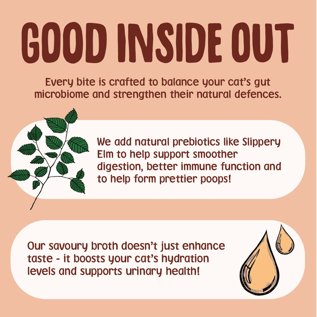 Product description for a cat supplement with text and images of slippery elm leaves and savoury broth droplets on a peach background.