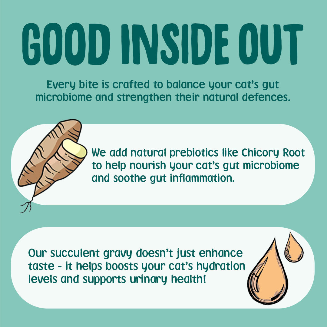 Advertisement for a cat food product with text about gut health and natural prebiotics on a teal background.