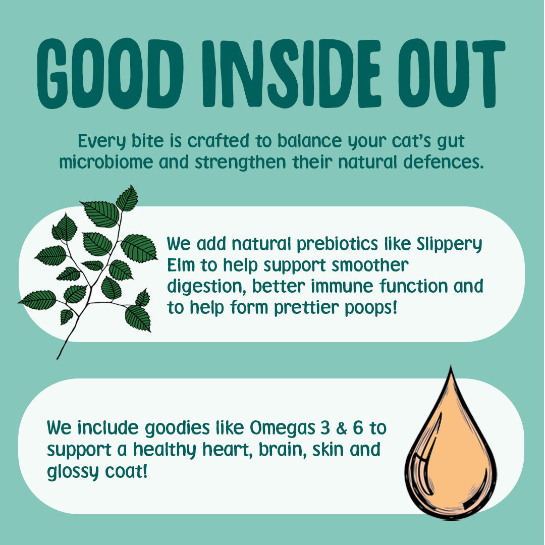 Advertisement for a pet product with text about gut health and natural ingredients on a teal background.