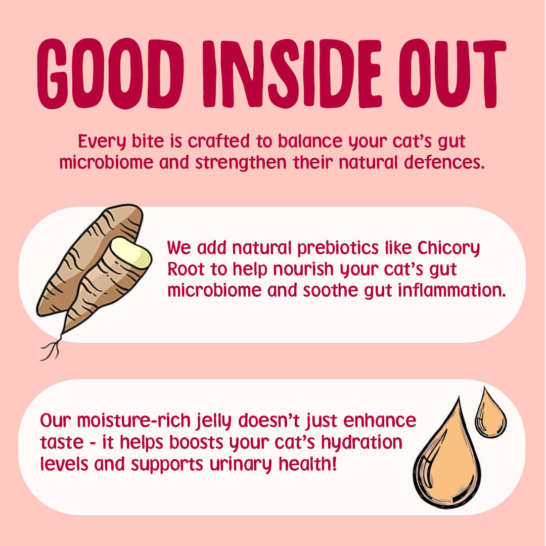 Product advertisement for cat food with text about gut health and hydration on a pink background.