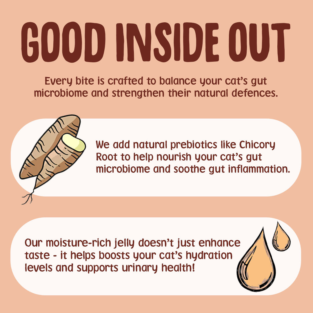 Cat food product description with text and illustrations on a peach background