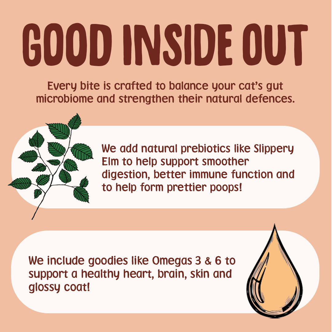Product advertisement for cat food with text about gut health and natural ingredients on a peach background.