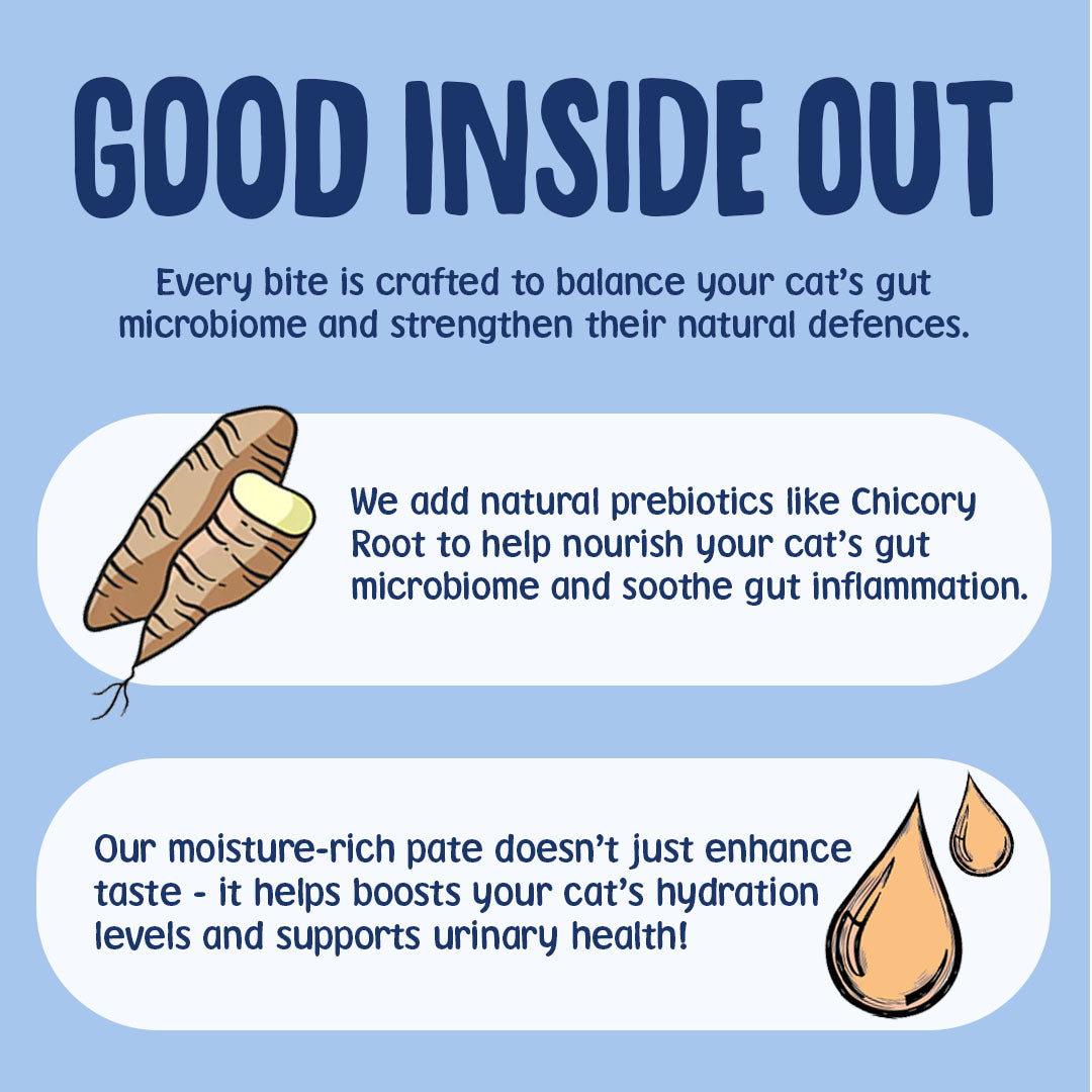 Advertisement for cat food with text about gut health and hydration on a blue background