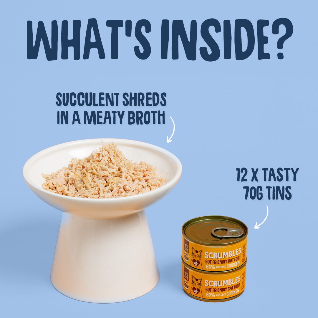 Cat food with text about succulent shreds and tasty tins on a blue background