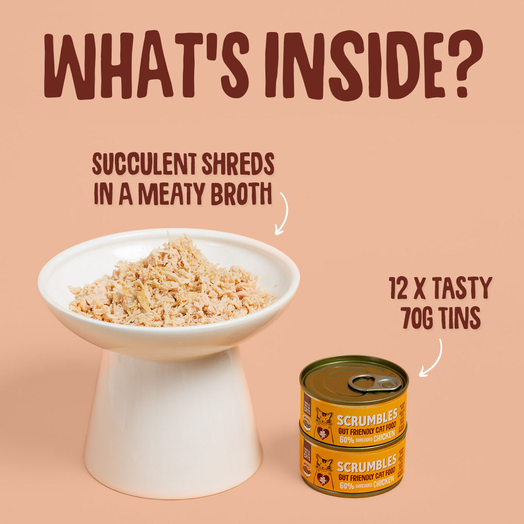 Cat food with text about succulent shreds and tasty tins on a peach background