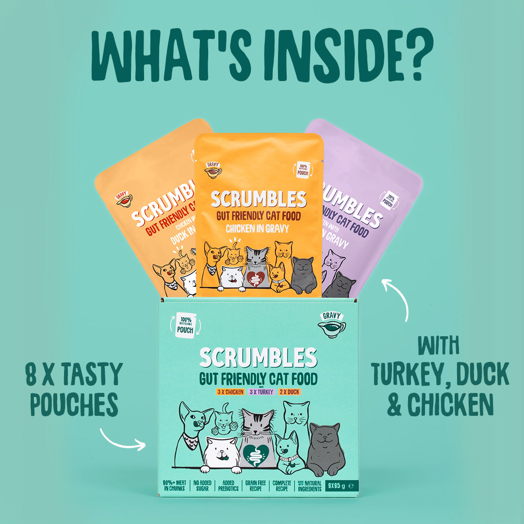 Scrumbles cat food packaging with text on a teal background