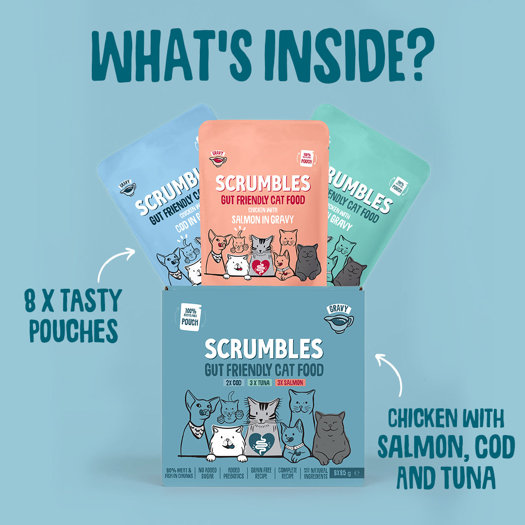 Scrumbles cat food packages on a light blue background with text indicating contents.