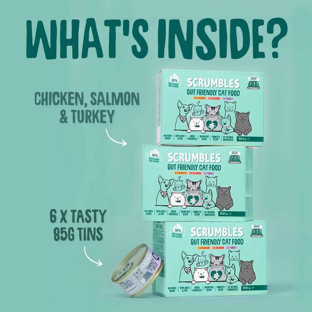 Scrumbles cat food packaging with text on a teal background
