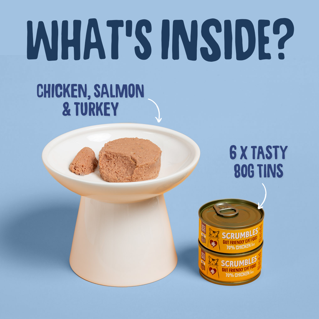Promotional image of Scrumble dog food with text about ingredients and packaging.