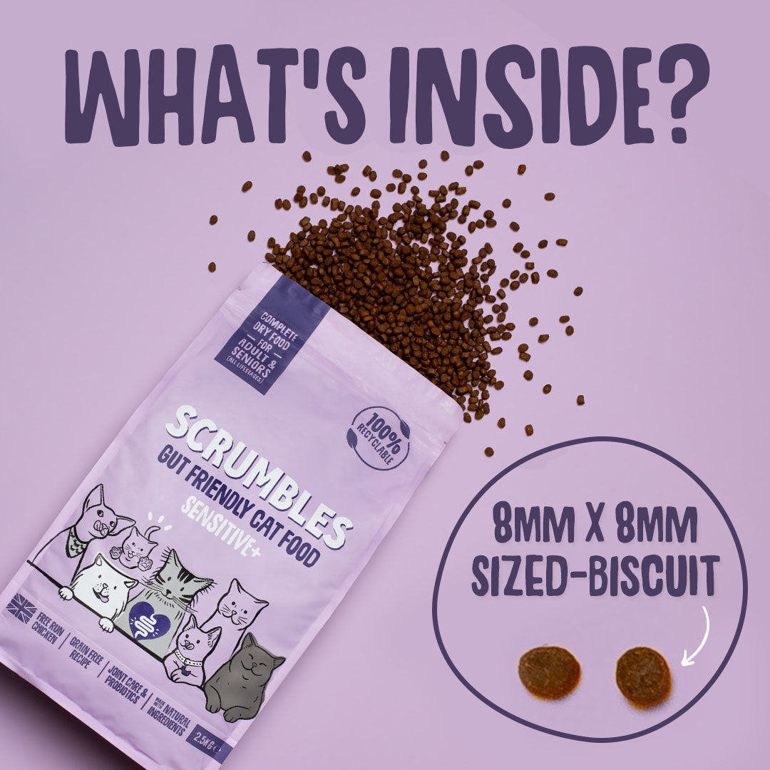 Scrumbles cat food package with text about biscuit size on a purple background