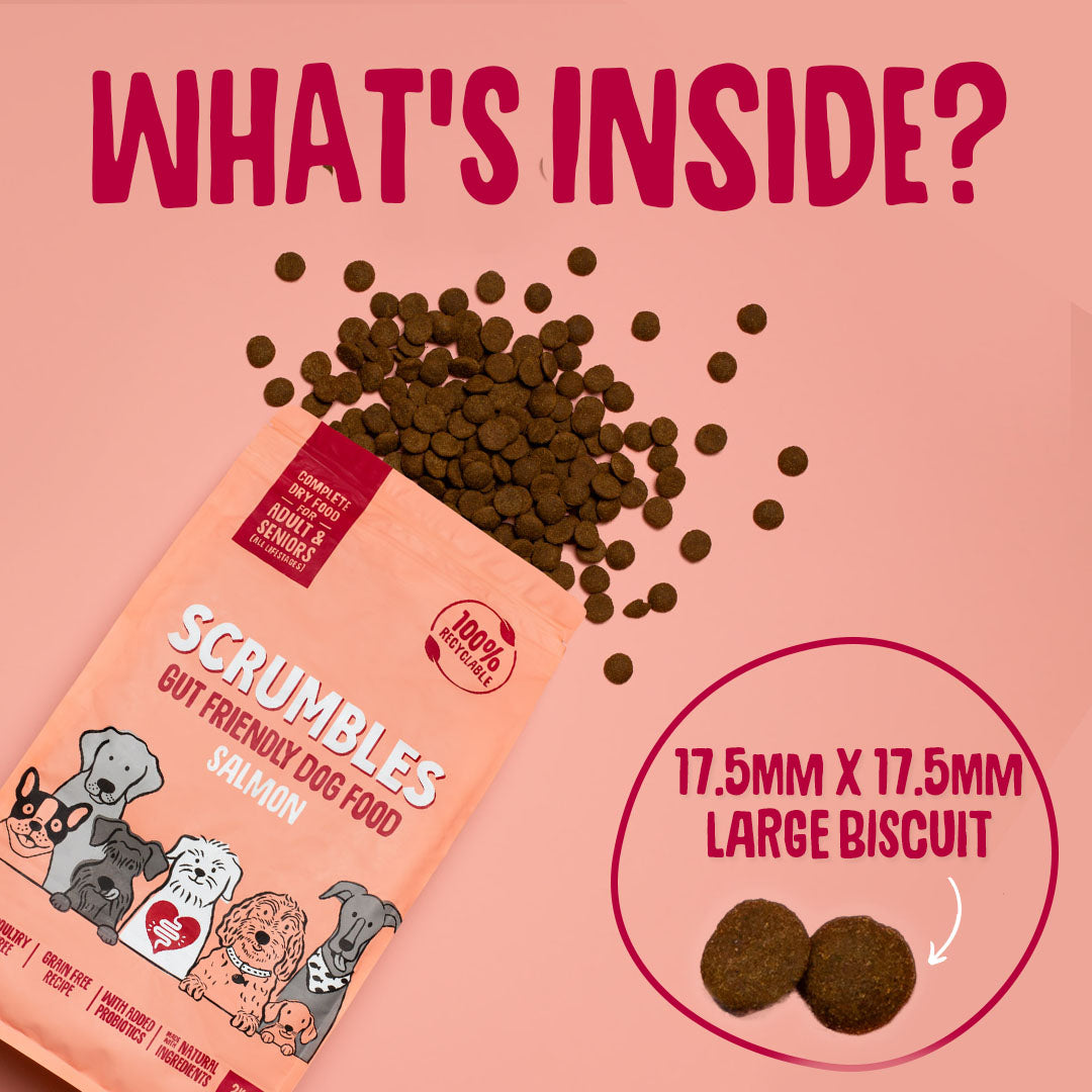 kibble size of salmon dry dog food