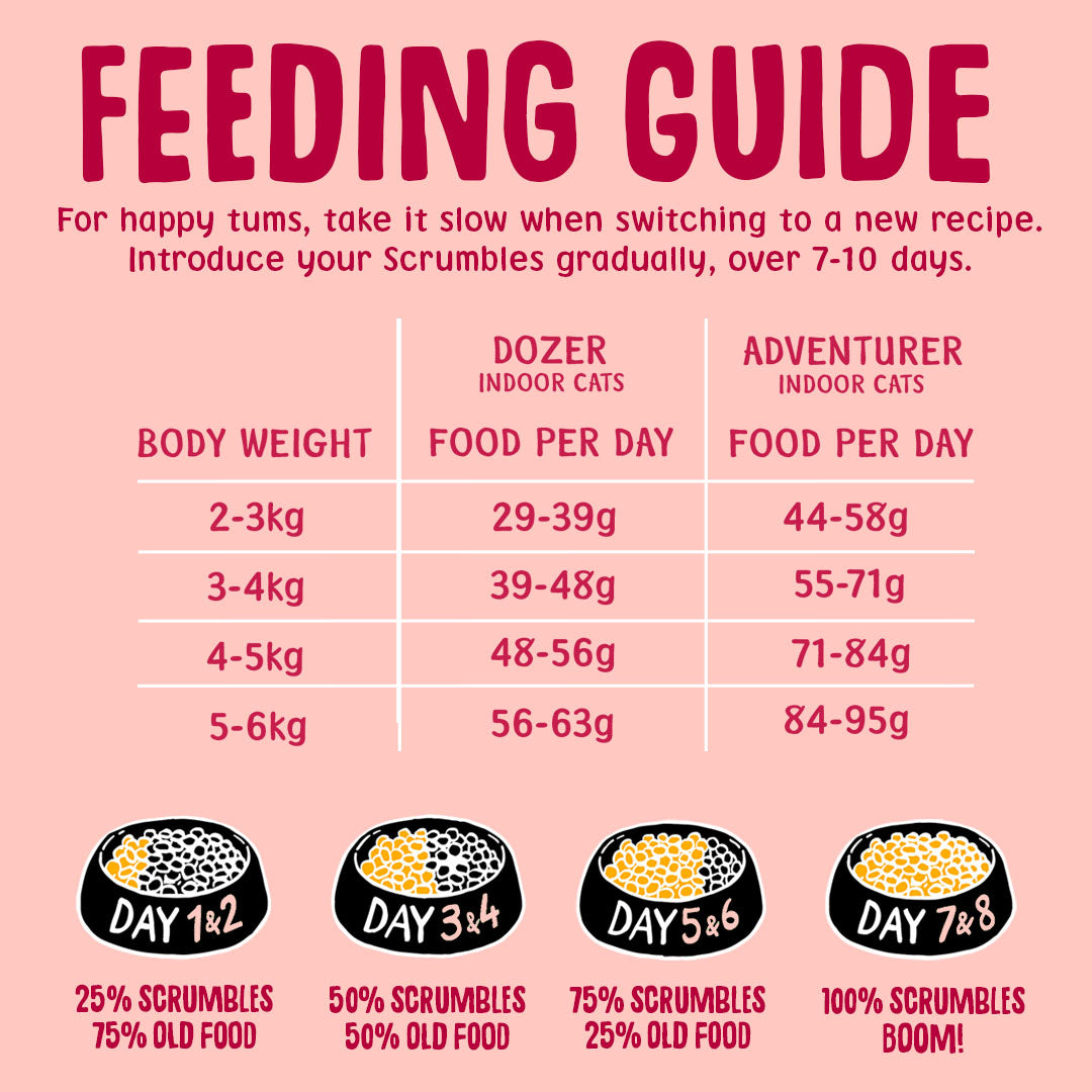 Feeding guide for Scrumbles cat food on a pink background