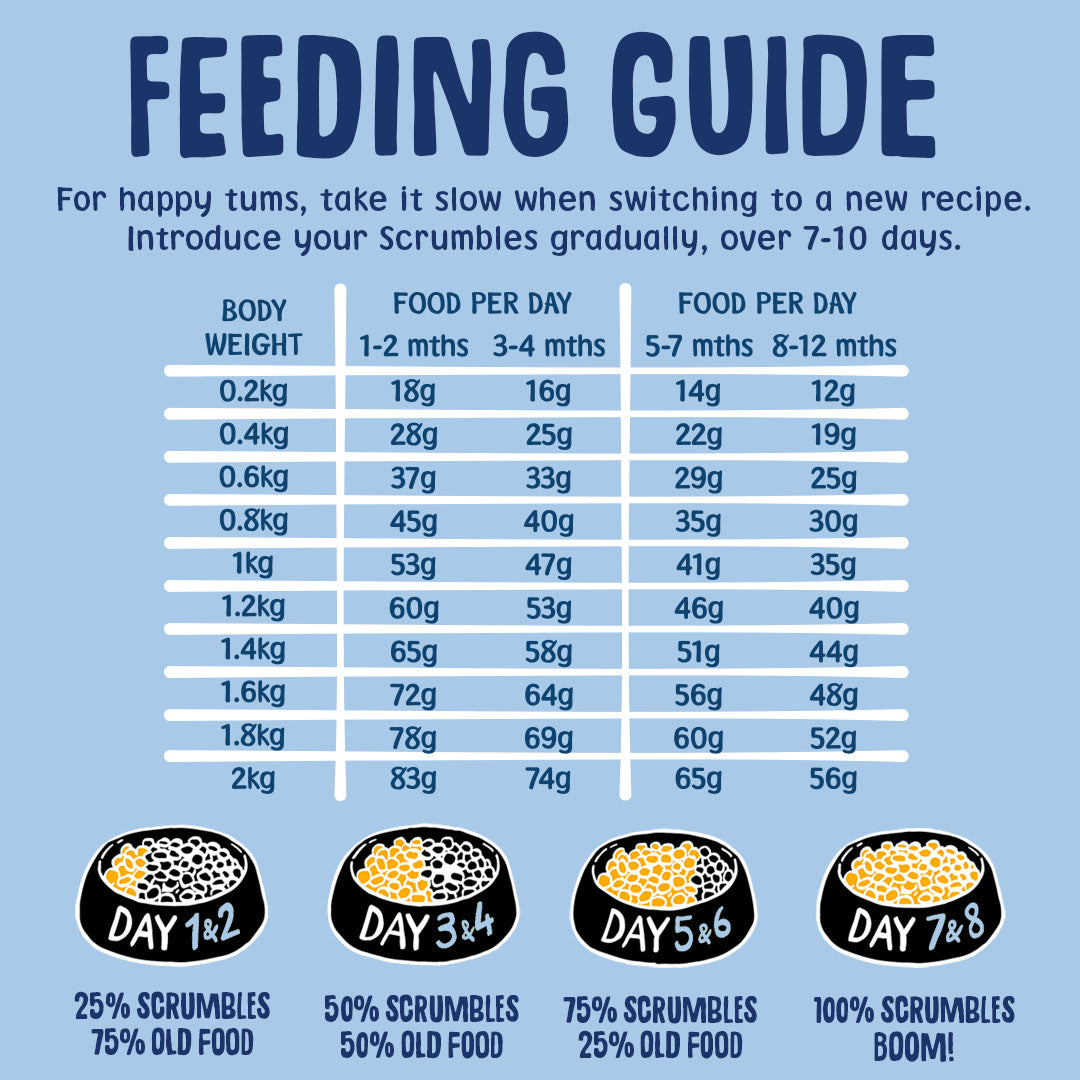 Feeding guide for Scrumbles pet food on a blue background