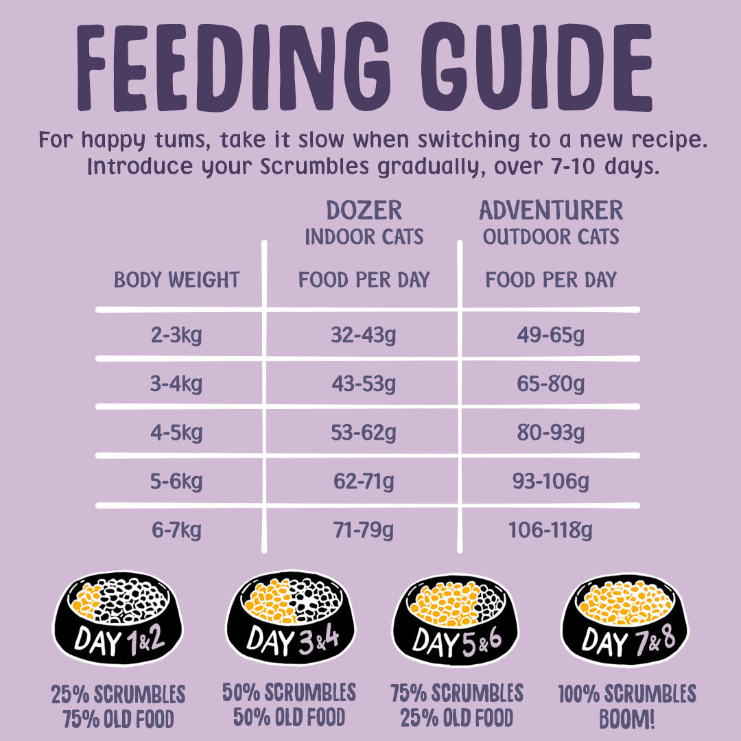 Feeding guide for Scrumbles cat food on a purple background