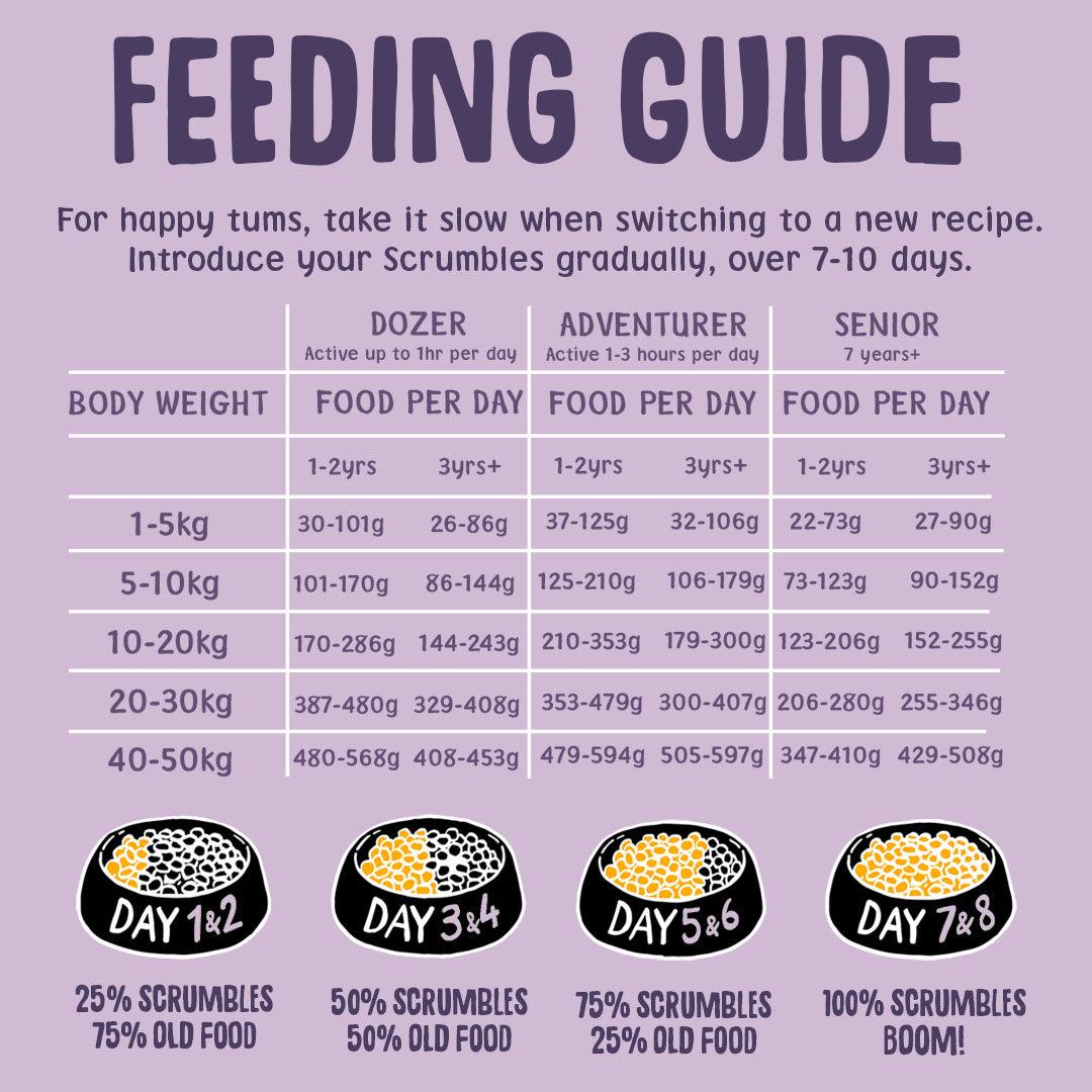 Feeding guide for Scrumbles pet food on a purple background