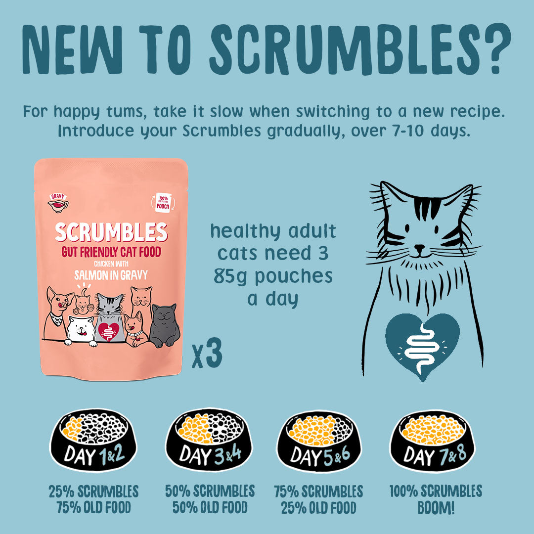 Scrumbles cat food packaging with feeding instructions on a blue background