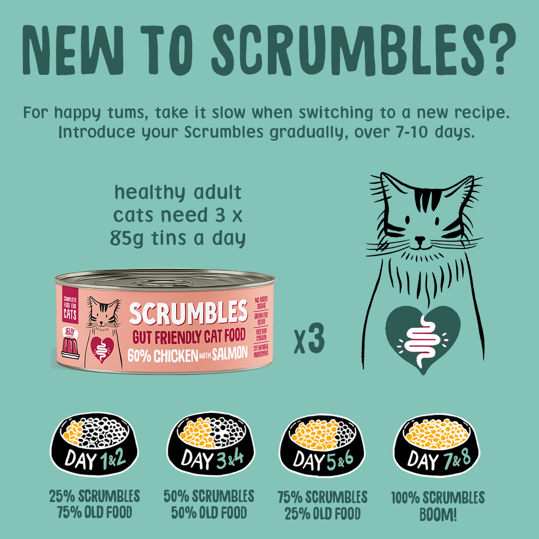 Scrumbles cat food packaging with feeding instructions on a teal background