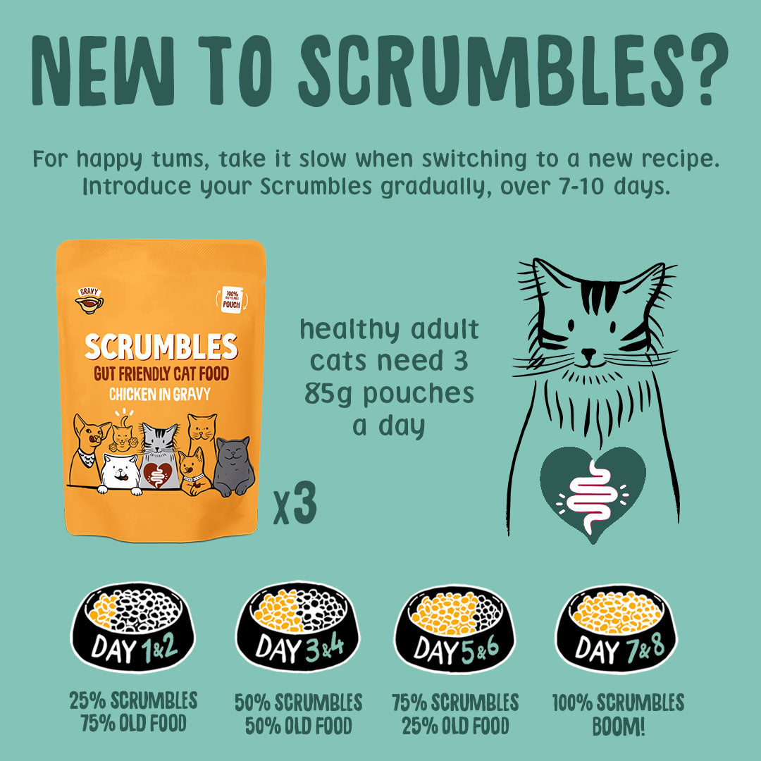 Scrumbles cat food packaging with instructions on introducing a new recipe to cats.