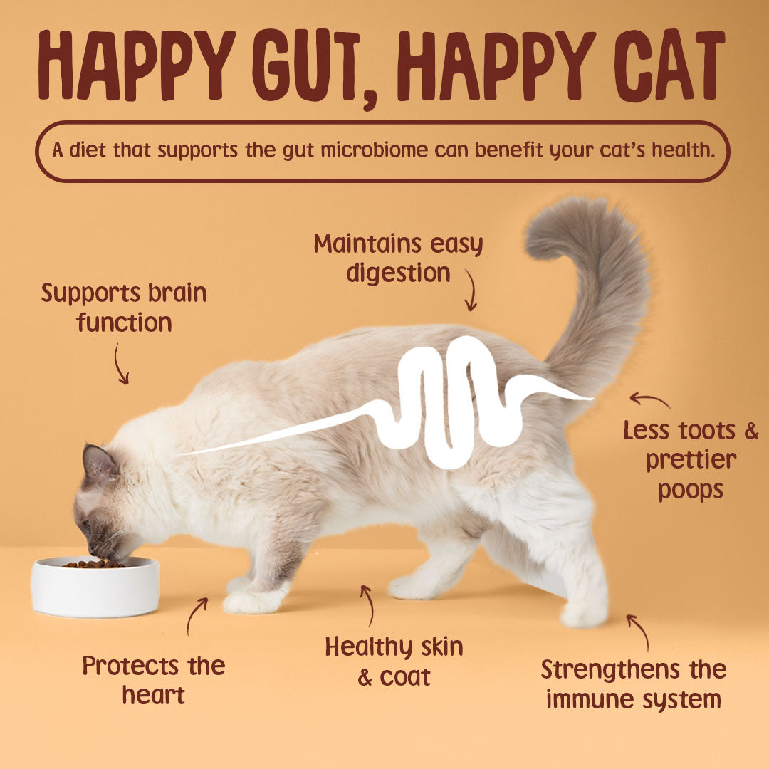 Cat eating from a bowl with text about the benefits of a happy gut for cat health on a brown background