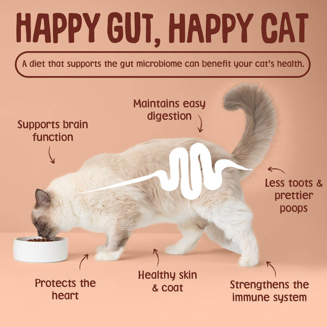 Cat eating from a bowl with text about the benefits of a happy gut for cat health on a peach background.